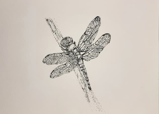 Ink DragonFly